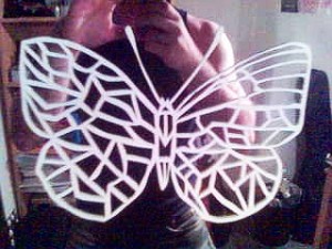 schmetterling